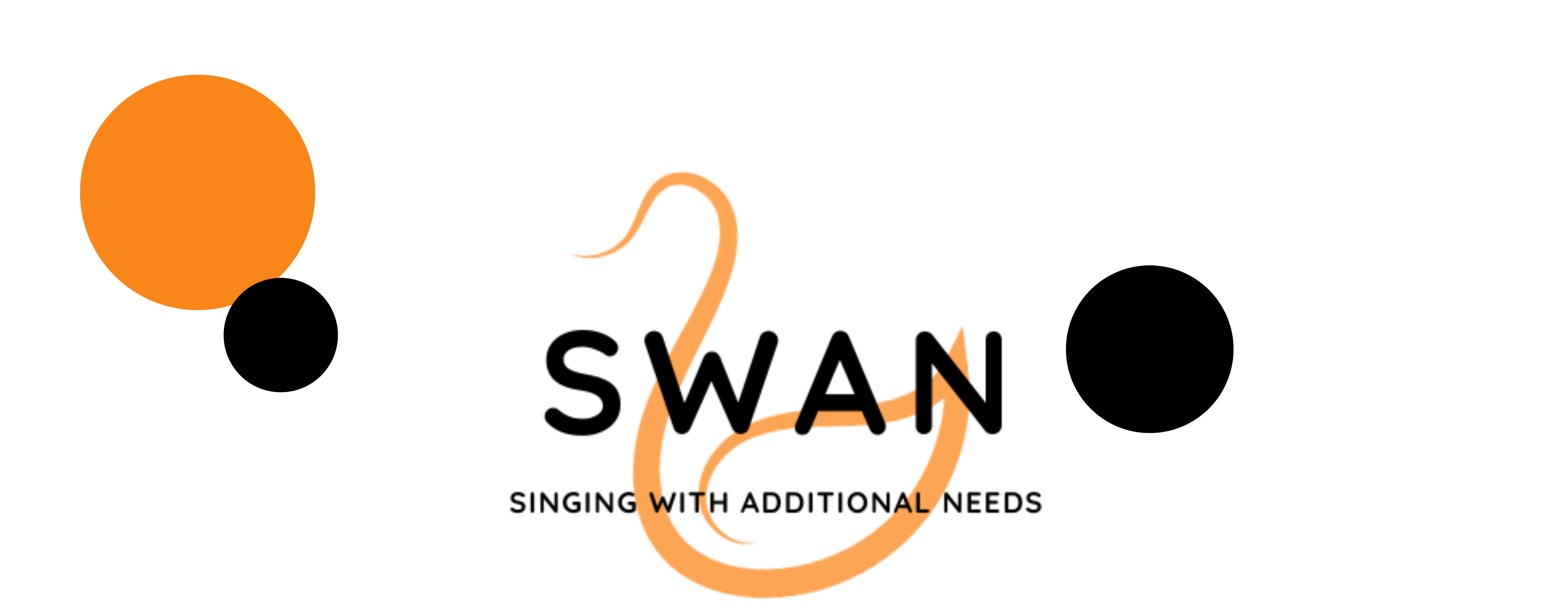 swann banner with logo 